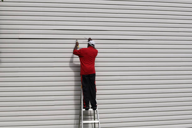 Best Siding Painting and Refinishing  in Buckhead, GA